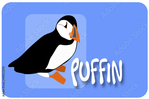 Puffin