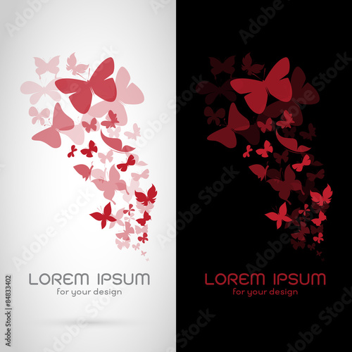 Vector image of an butterflies flock on white background and bla