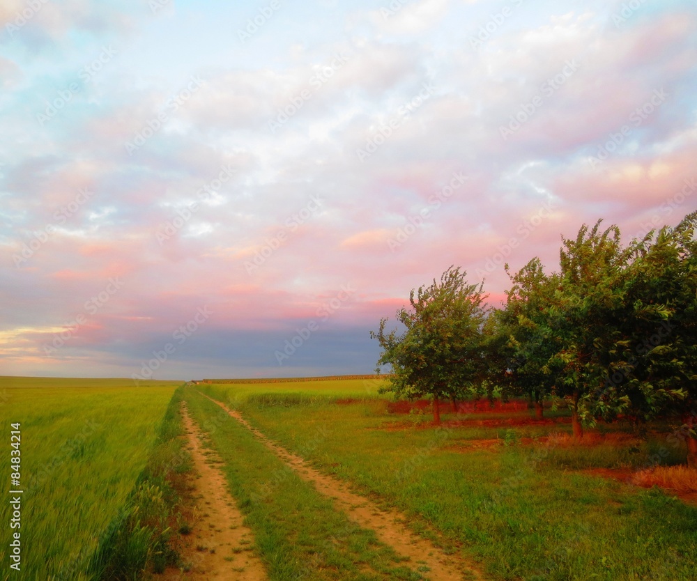 Obraz premium Wiesenweg II