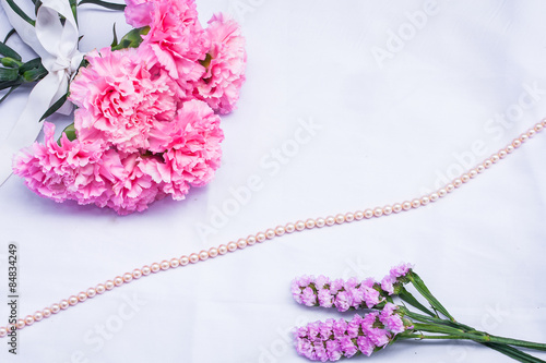 pink carnation flower 