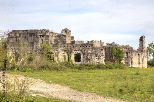 Ruins of ancient palace of prince Chachba Shervashidze