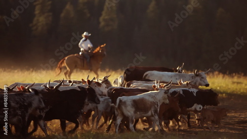 Cowboys herding cattle 