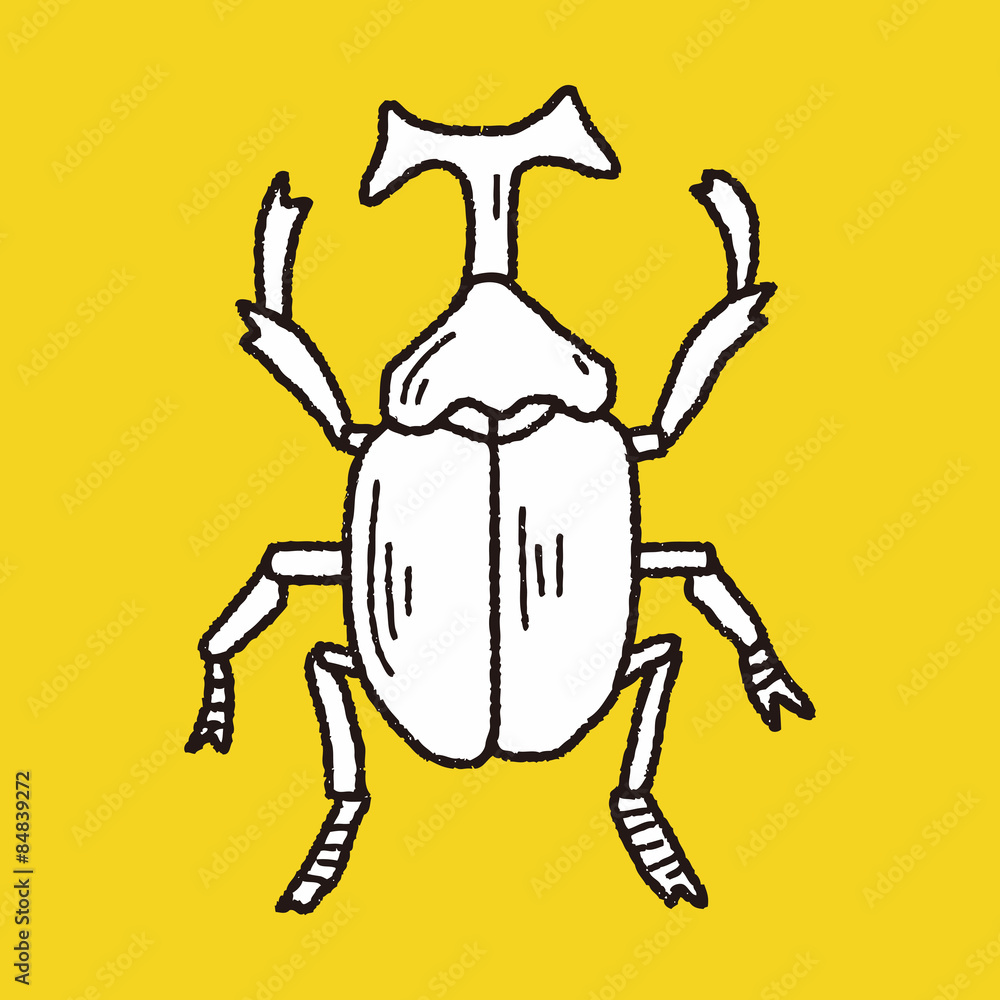 beetle doodle beetle doodle