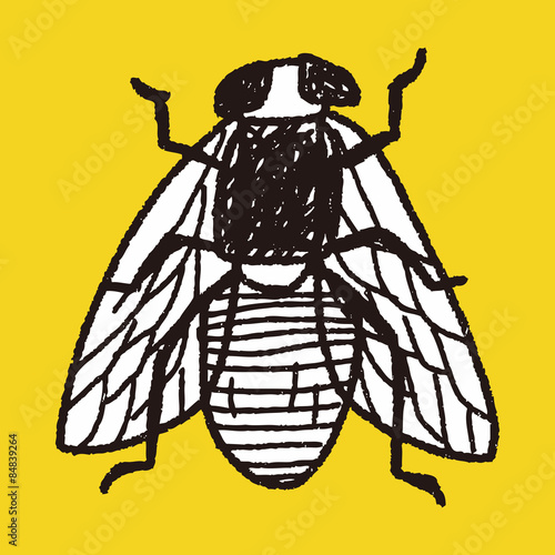 fly bug doodle