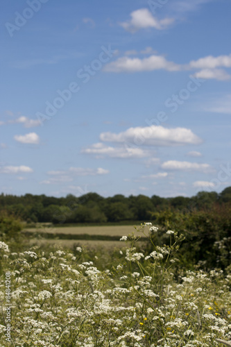 English Countryside  Holmer Green  Buckinghamshire
