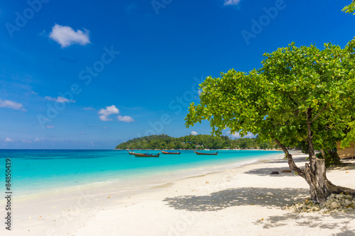 Green tree on white sand beach blue sky. © themorningglory