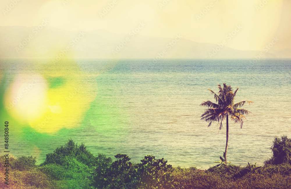 Obraz premium Tropical beach