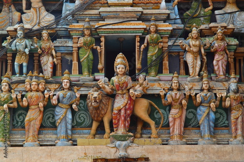 Statues of hindu gods in a temple (Trincomalee, Sri Lanka)