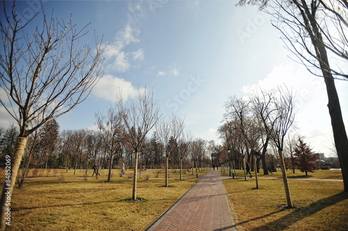 NOVI PETRIVTSI, UKRAINE - FEBRUARY 2014:  residence of ex-presid photo