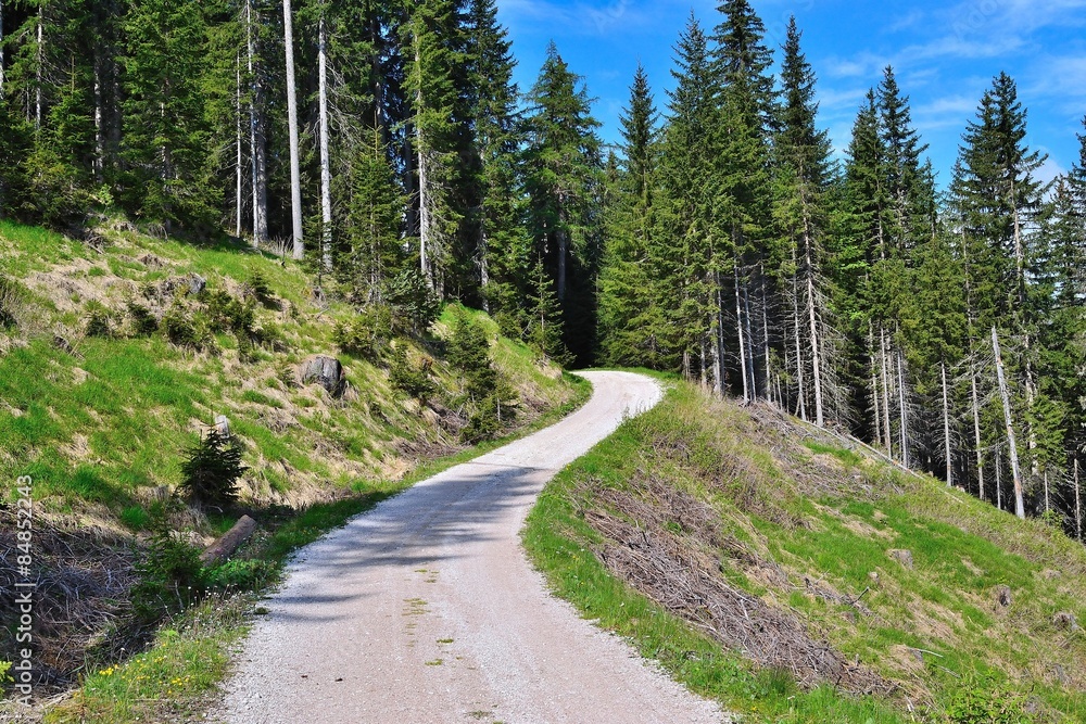 Fototapeta premium strade sentieri per salire a santa croce