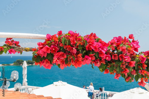 small cafe in Corfu island with bougainvillea flowers and the view on the sea. Greece