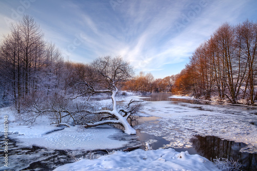 Obraz na płótnie Lonely fallen tree on the background of the frozen, icy river at sunset w salonie