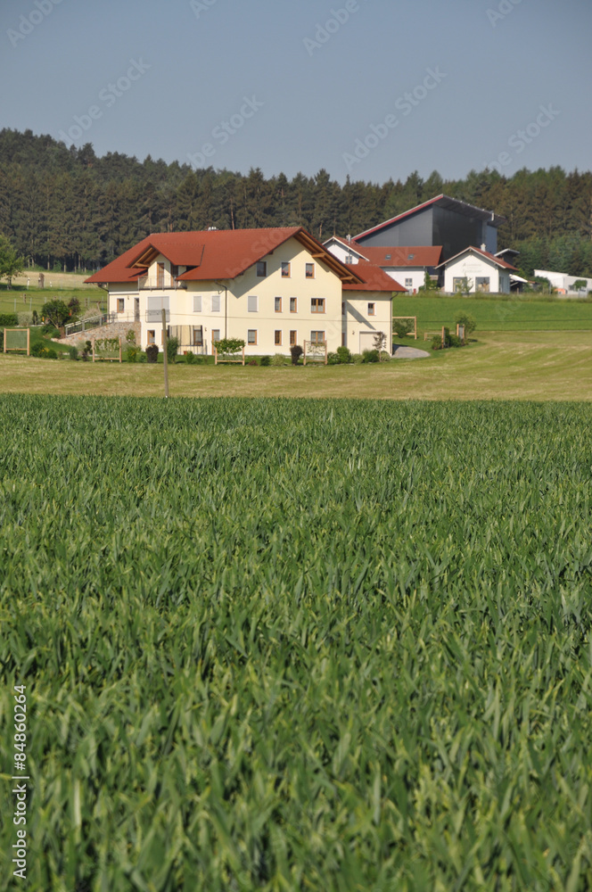 Feld bei Zandt Feld bei Zandt