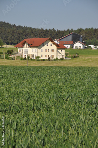 Wallpaper Mural Feld bei Zandt Torontodigital.ca