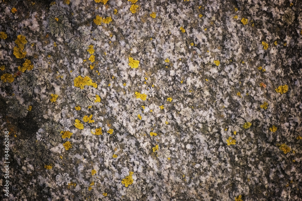 texture stone texture stone