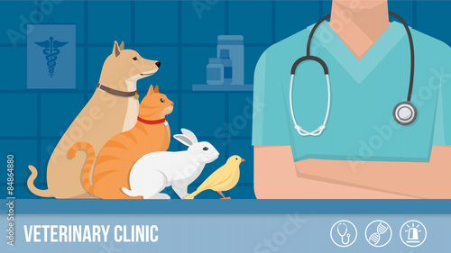 Vet clinic banner