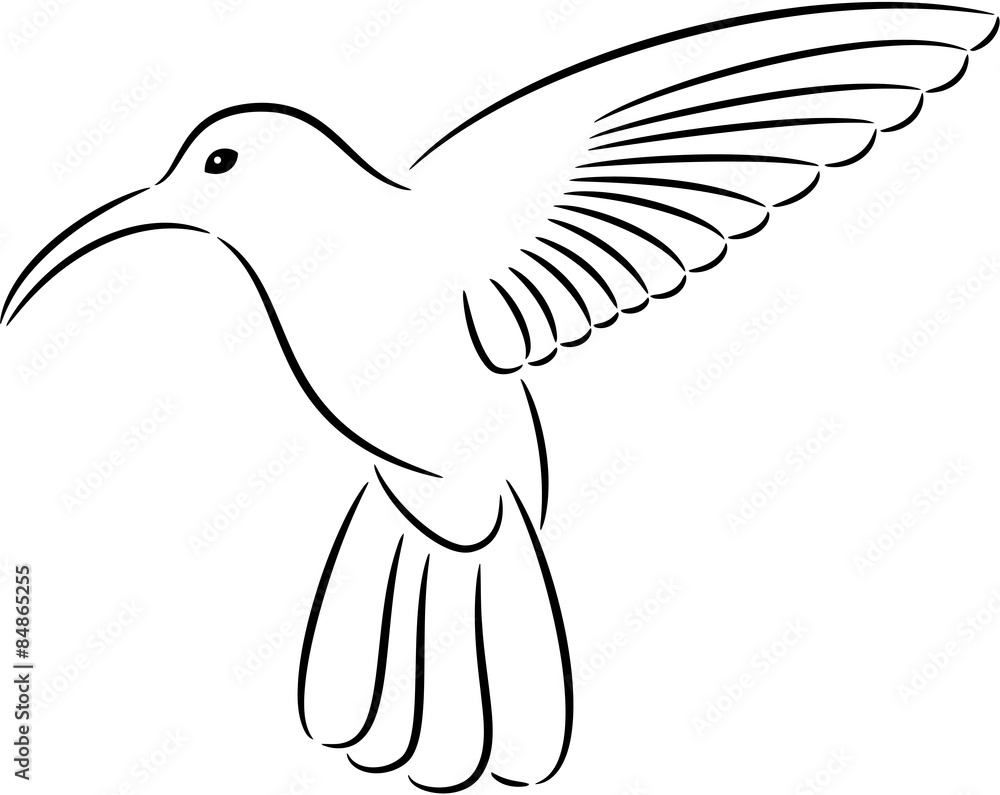 Obraz premium Hummingbird