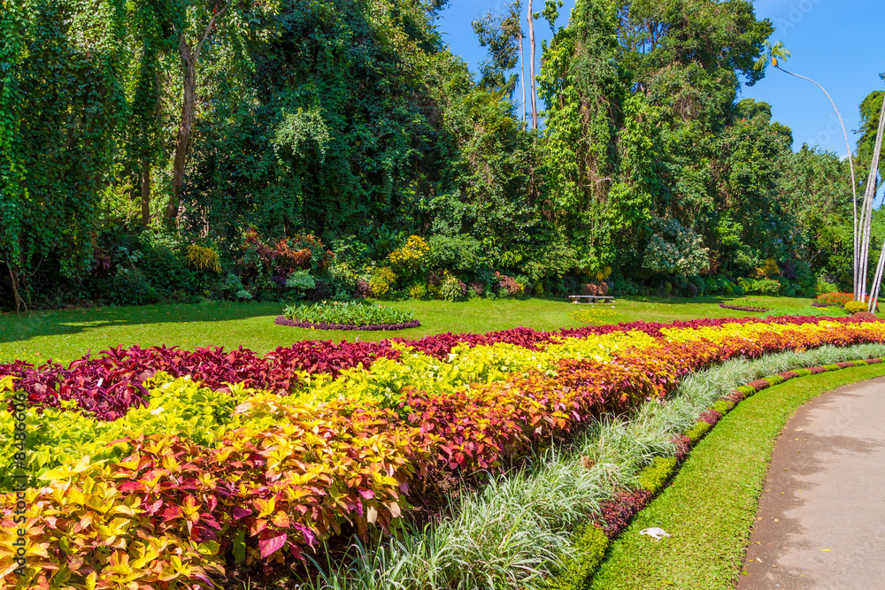 Multicolored alley of flowers and trees