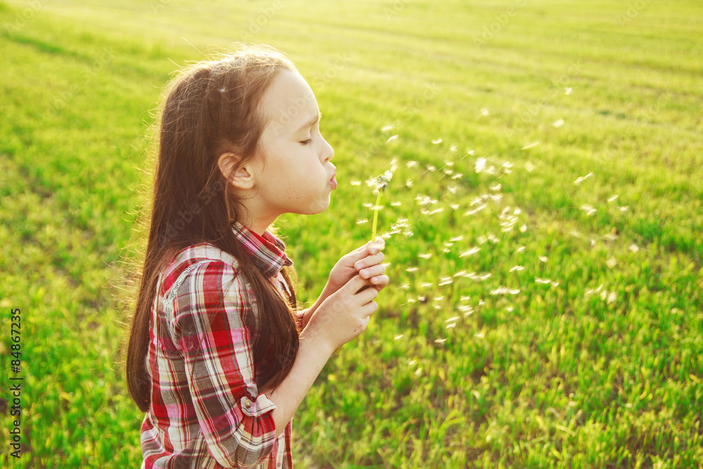 little girl blowing on the dandelion
little girl blowing on the dandelion