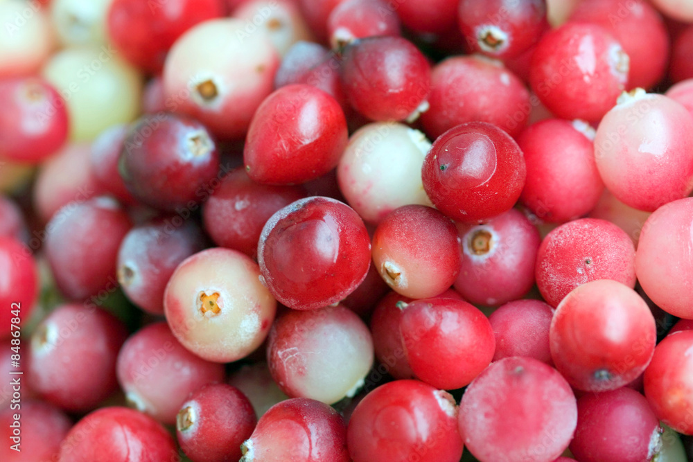 Red Fresh Cranberry close-up background Red Fresh Cranberry close-up background