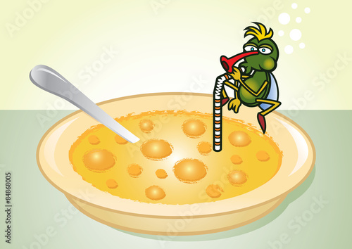 Fly in the soup