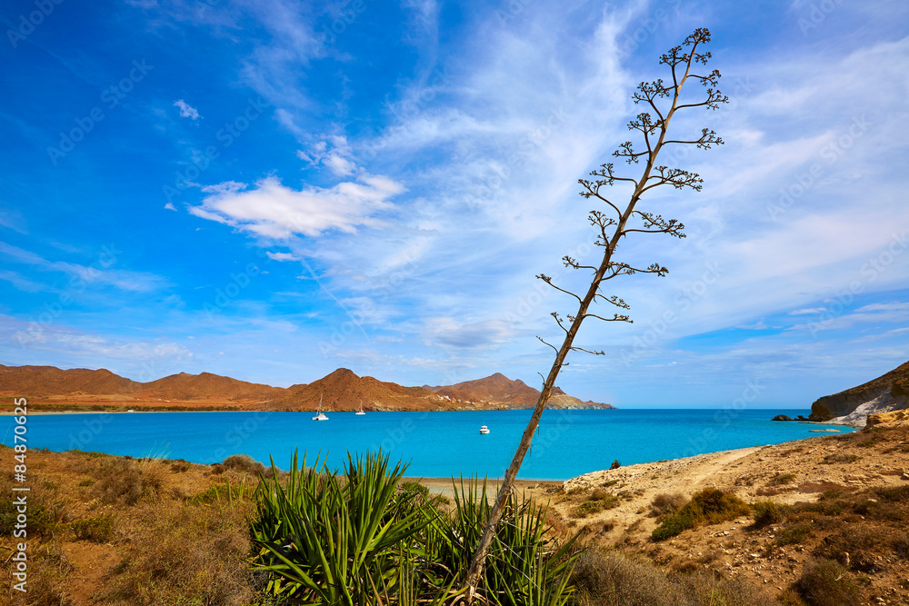Almeria Playa los Genoveses beach Cabo de Gata Almeria Playa los Genoveses beach Cabo de Gata