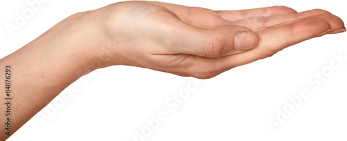 Human Hand, Palm, Giving.