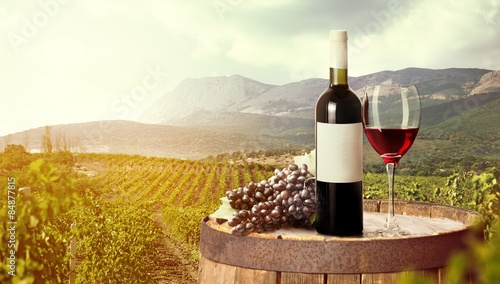 Fototapeta Naklejka Na Ścianę i Meble -  Wine, vineyard, glass.