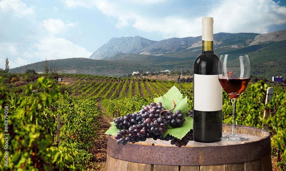 Wine, vineyard, glass.