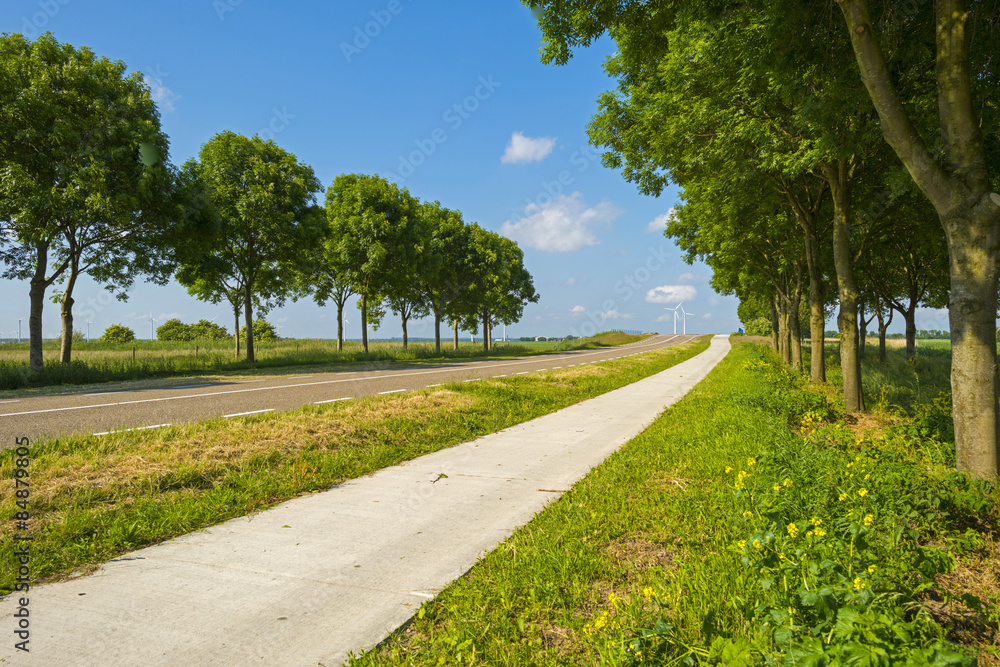 Countryroad through a rural landscape in spring