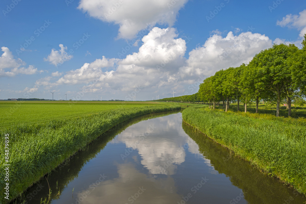 Fototapeta premium Canal through a rural landscape in spring