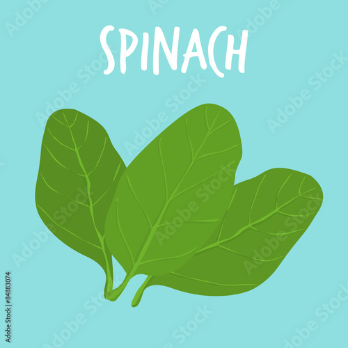 fresh spanich on blue balckground vector