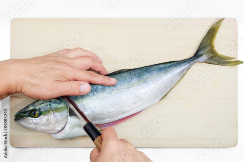 Preparing a Japanese yellowtail in the Japanese style