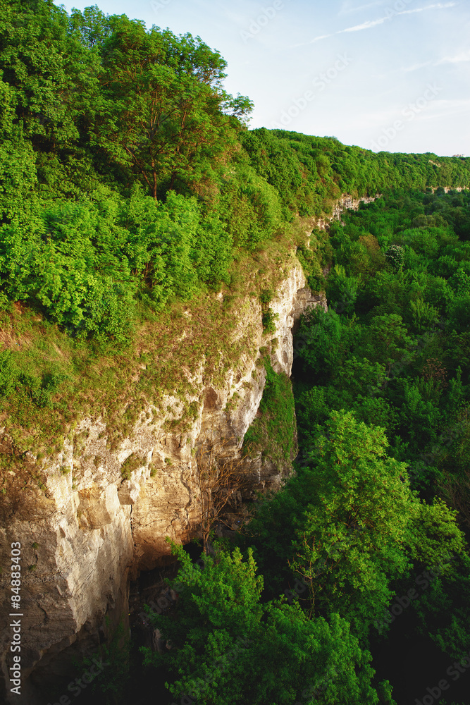 Forest Canyon Forest Canyon