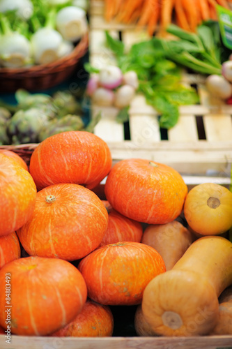 Fresh healthy bio pumpkins