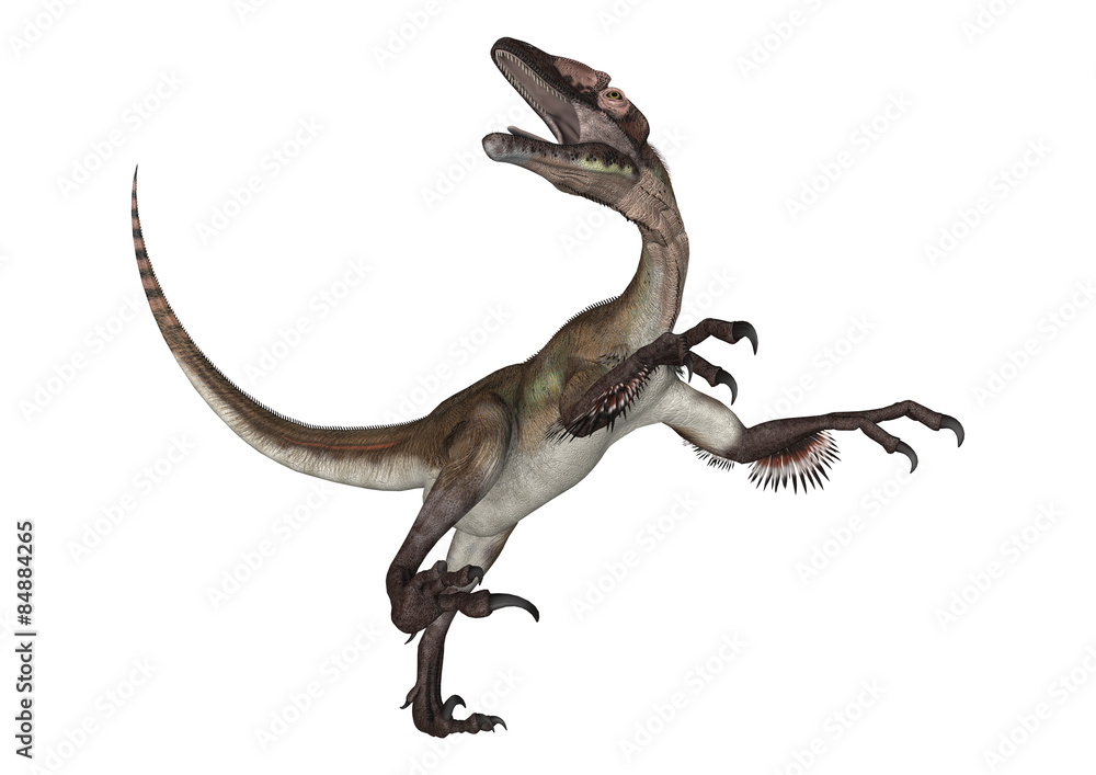 Obraz premium Dinosaur Utahraptor