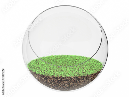 3d Air plant terrarium