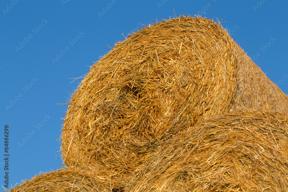 Piled hay bales on a field against blue sky Piled hay bales on a field against blue sky