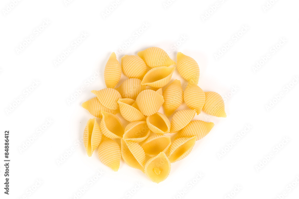 conchiglie pasta shell conchiglie pasta shell