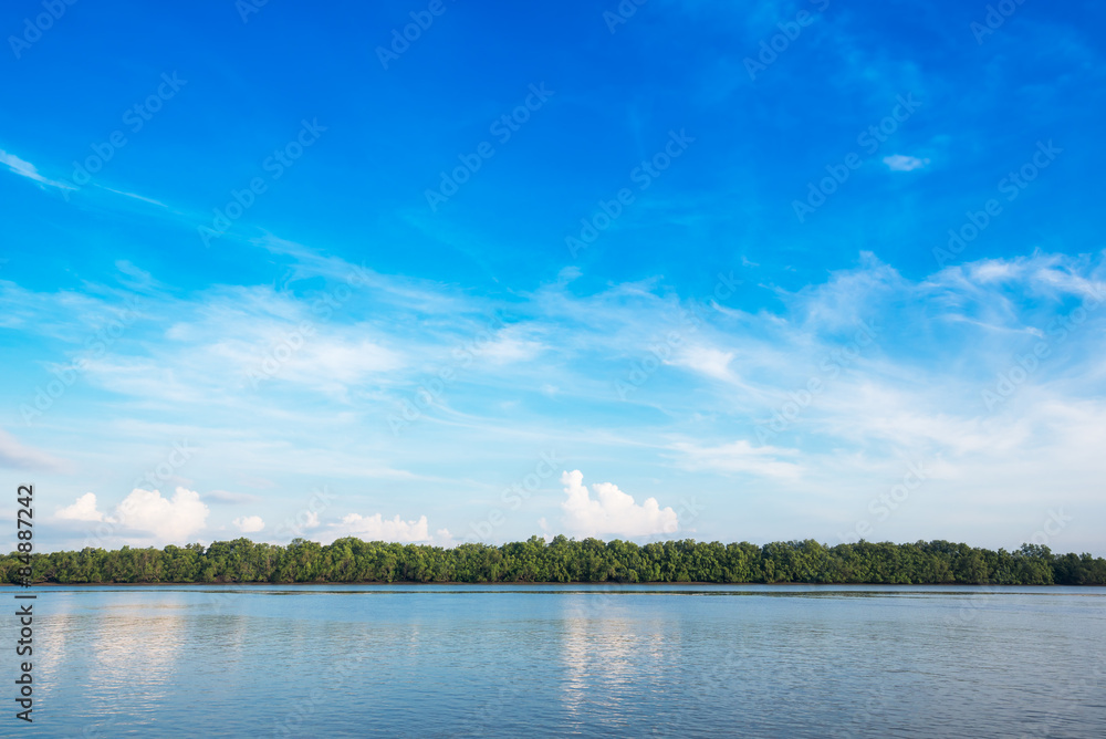 Sky and mangrove forest at coast Sky and mangrove forest at coast