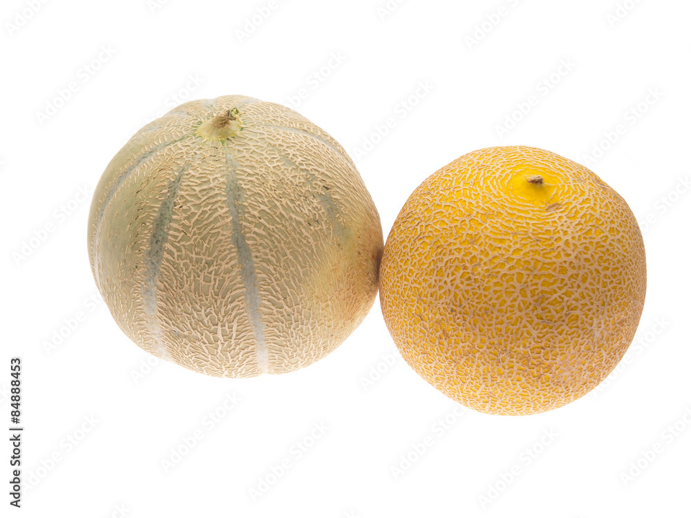 cantaloupe and galia melons cantaloupe and galia melons
