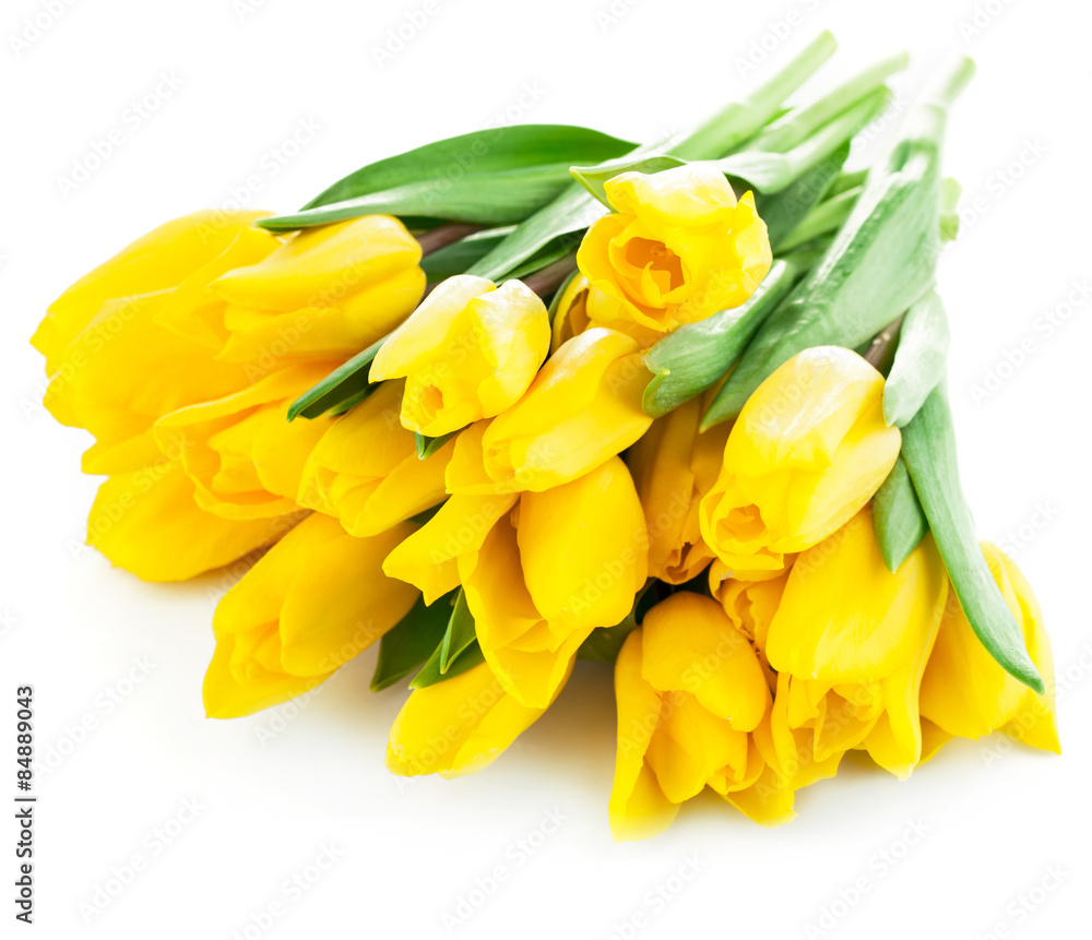 bouquet of yellow tulip flowers isolated on white background bouquet of yellow tulip flowers isolated on white background