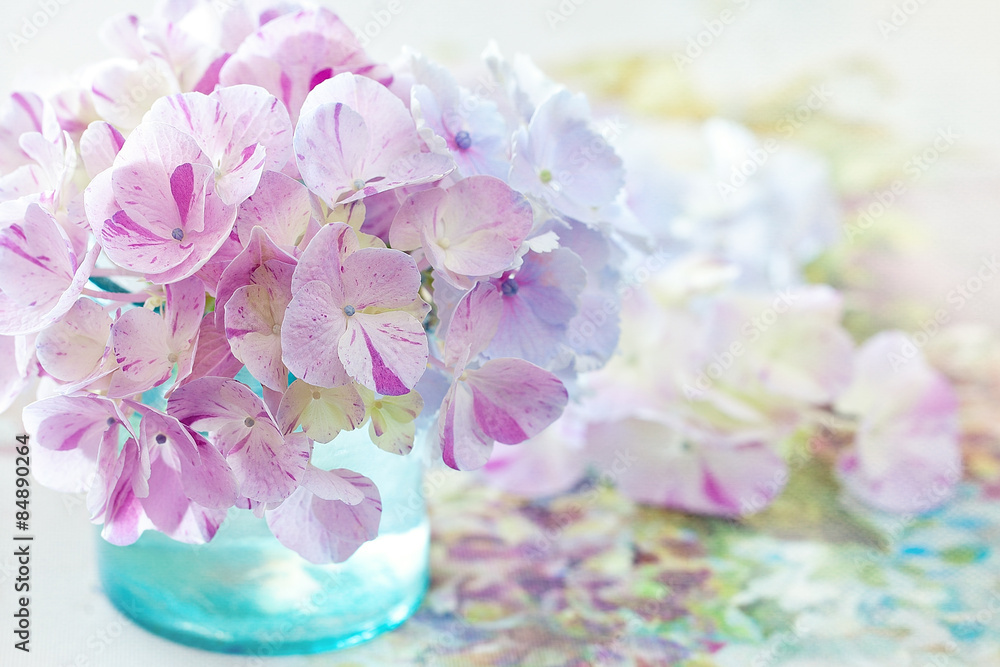 beautiful hydrangea flowers in a vase beautiful hydrangea flowers in a vase