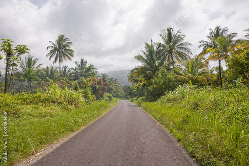 Straße und Palmen auf der Insel Dominica