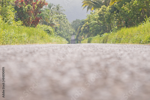 Straße und Palmen auf der Insel Dominica