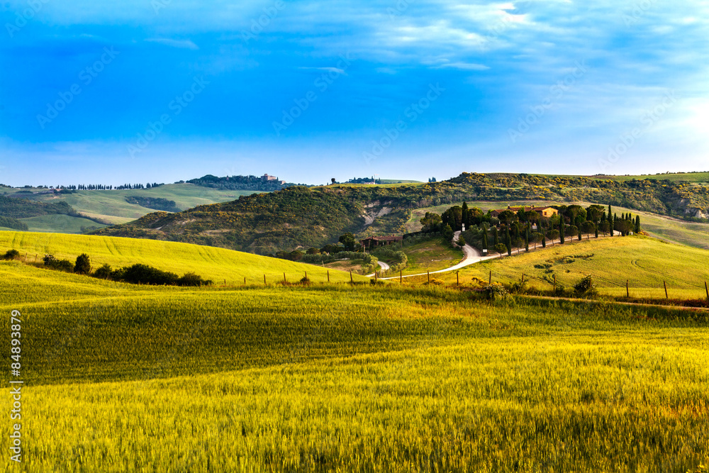 Beautiful and miraculous colors of green spring landscape of Tus Beautiful and miraculous colors of green spring landscape of Tus