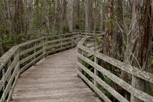 Boardwalk,Corksrew swamp, Florida,USA photo