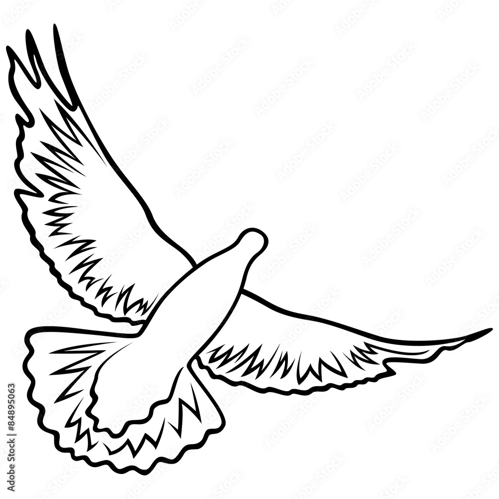 Dove in flight Dove in flight
