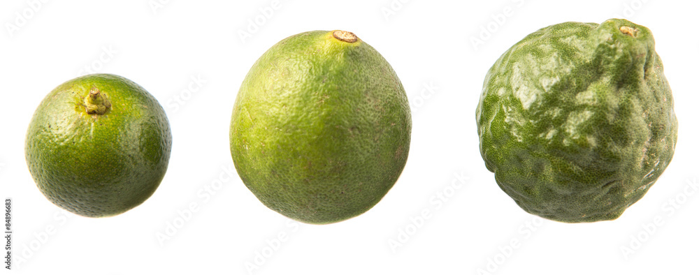 Lime, makrut or kaffir lime and calamansi over white background Lime, makrut or kaffir lime and calamansi over white background