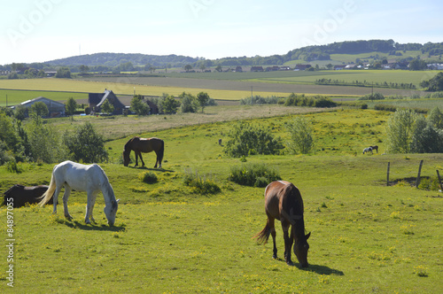 Fototapeta Naklejka Na Ścianę i Meble -  Mont Kemmel (vue sur le mont Noir)
